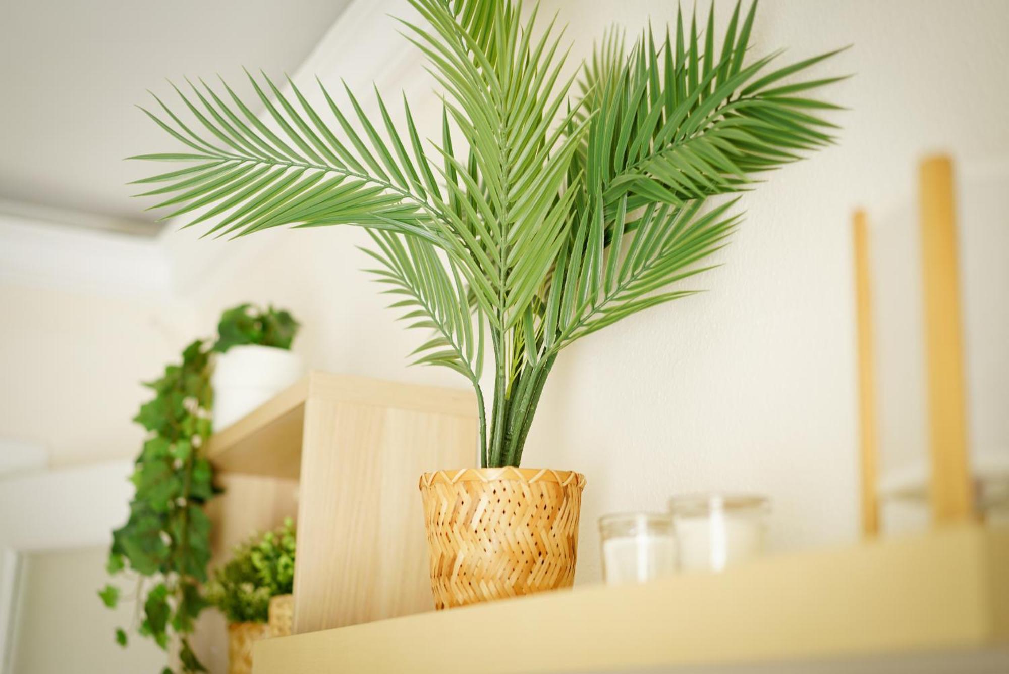 El Tejar Apartment เซบีญา ภายนอก รูปภาพ