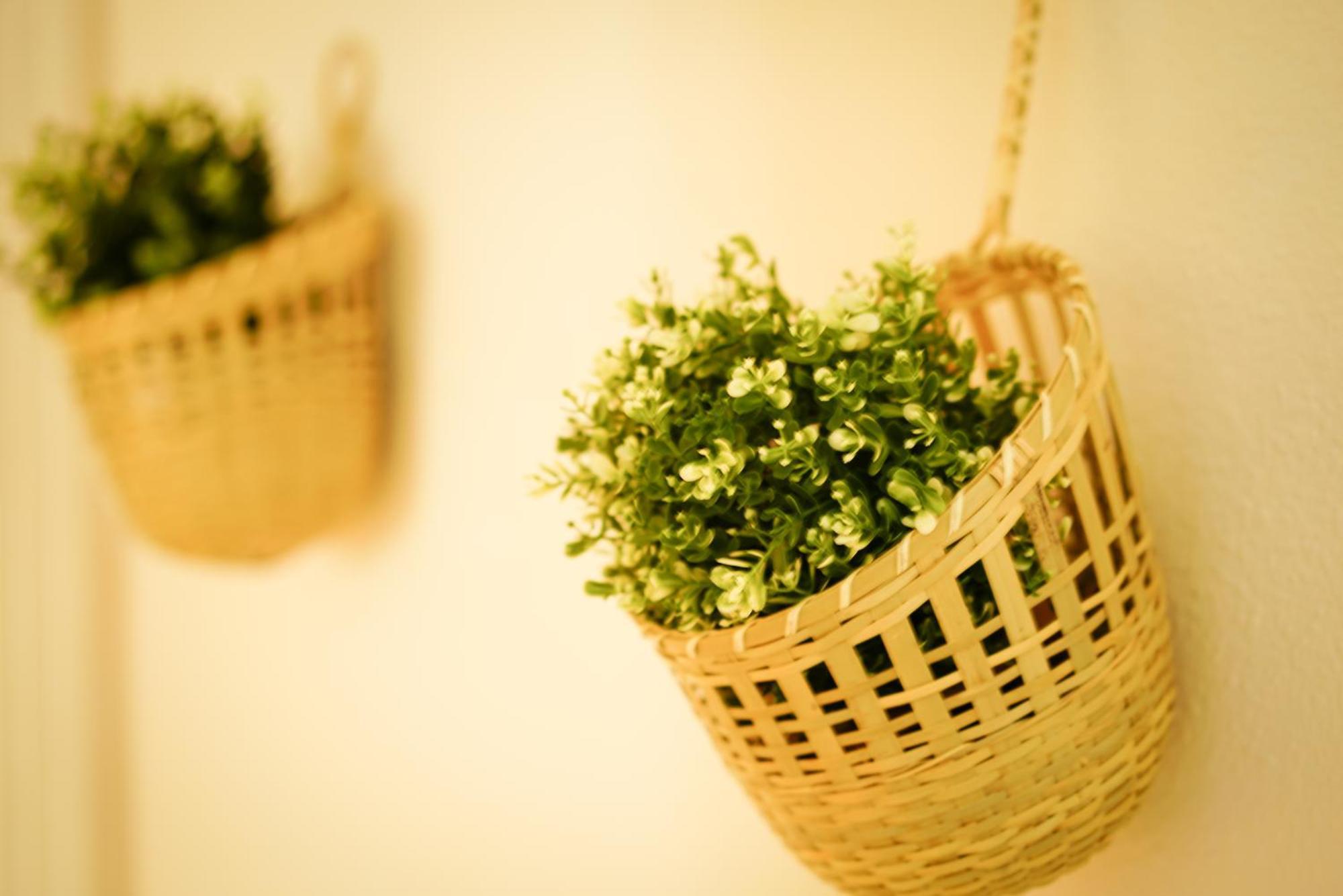 El Tejar Apartment เซบีญา ภายนอก รูปภาพ
